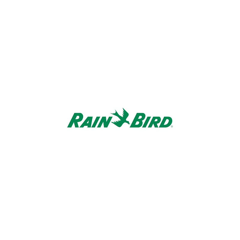 Buses 35 PJ - RAIN BIRD