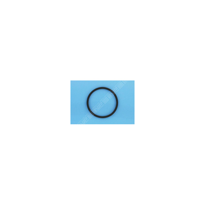 Joint de couvercle viton (BAYROL)